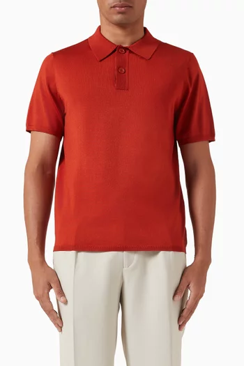 Polo Shirt in Knit