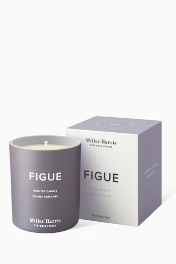 Figue Scented Candle, 220g 