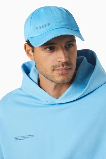 Baseball Cap in Oilseed Hemp Twill