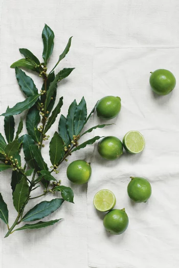 Large Lime & Bay Candle, 770g