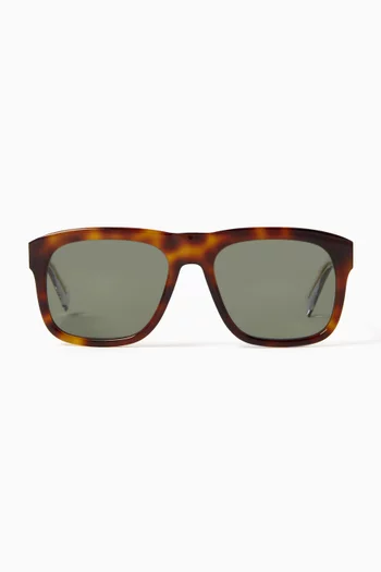 SL 558 Sunglasses in Acetate