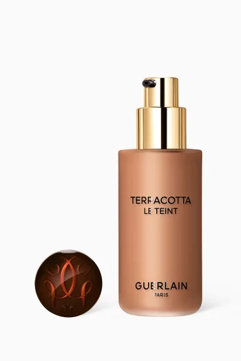6N Neutral Neutre Terracotta Le Teint Foundation, 35ml