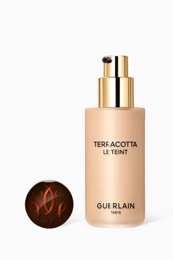 2W Warm Dore Terracotta Le Teint Foundation, 35ml