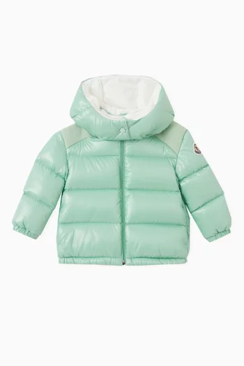 Valya Down Jacket in Recycled Nylon Laqué