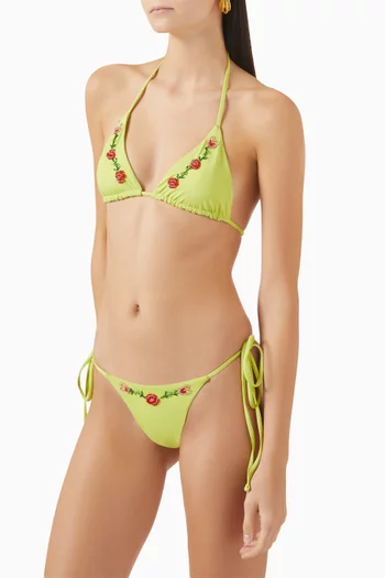 Divine Bikini Briefs