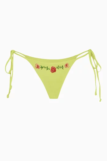 Divine Bikini Briefs