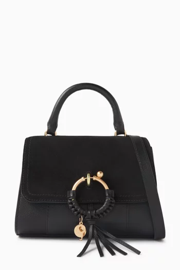 Joan Ladylike Top Handle Bag in Leather & Suede