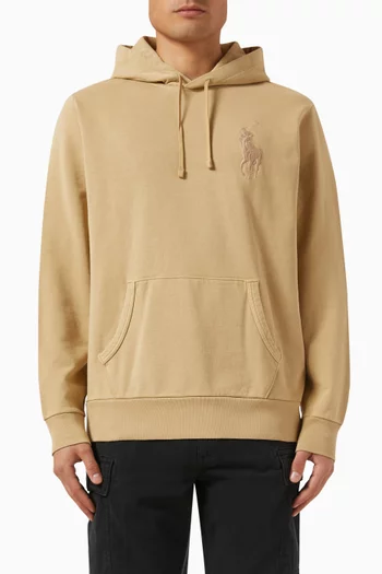 Big Pony Embroidery Hoodie in Cotton