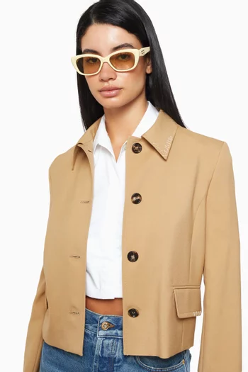 Unisex Amber Y5 Cat-eye Sunglasses in Acetate