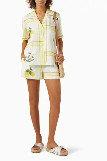Summer Picnic Shorts in Linen