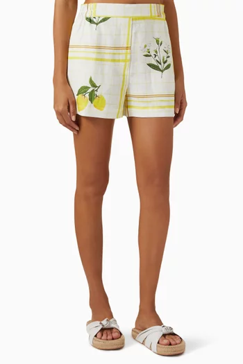 Summer Picnic Shorts in Linen