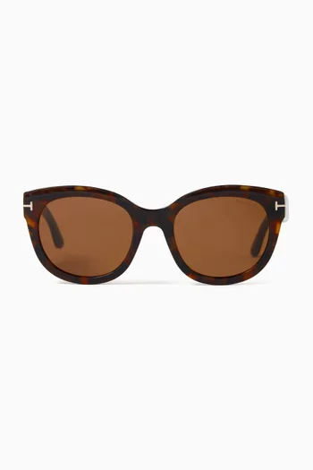 D-frame Sunglasses in Acetate