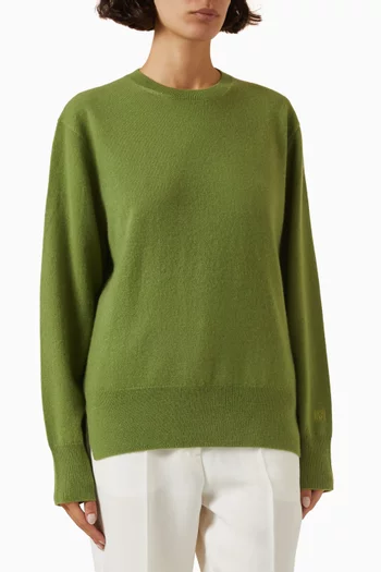 Crewneck Knit Sweater in Cashmere