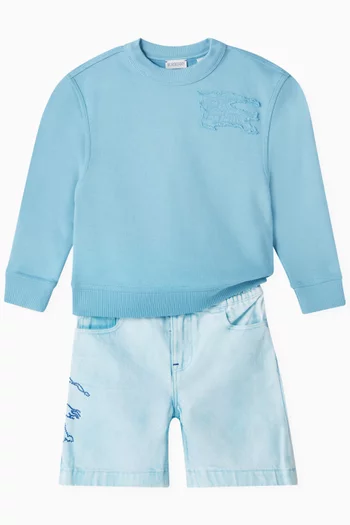 Mathew Crewneck Sweatshirt in Cotton