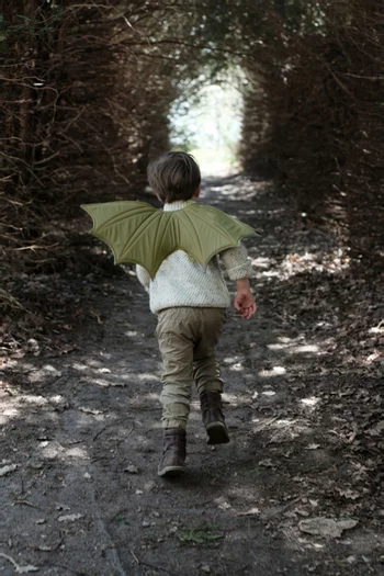 Dress Up Dragon Wings