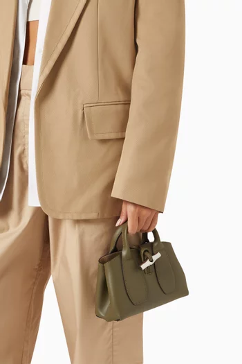 Mini Le Roseau Box Top-handle Bag in Leather