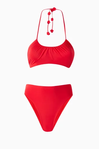 Delphi Bikini Set