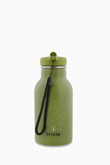 Mr. Dino Insulated Water Bottle
