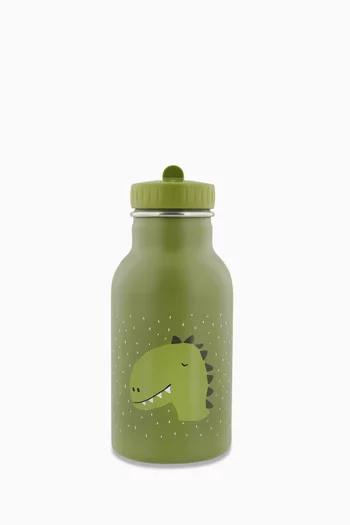 Mr. Dino Insulated Water Bottle