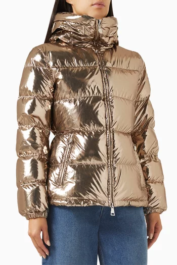 Douros Down Jacket in Metallic Nylon