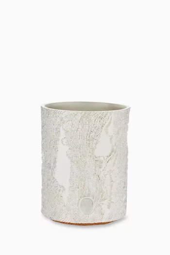 Vase in Silver-plated