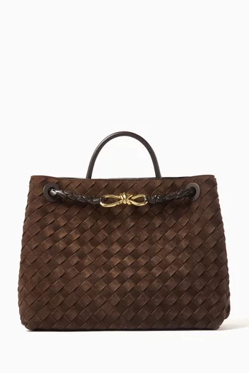 Medium Andiamo Crossbody Bag in Intrecciato Suede