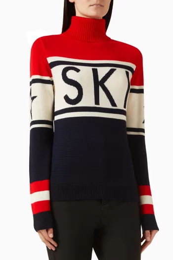 Schild Sweater in Merino Wool