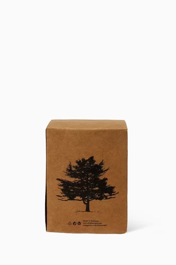 The Cedars of Lebanon Candle, 230g