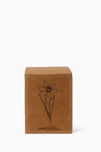 Daffodils of Kashmir Candle, 230g