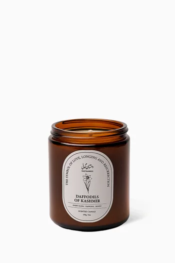 Daffodils of Kashmir Candle, 230g