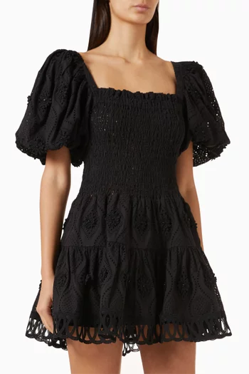 Eleonora Embroidered Mini Dress in Cotton