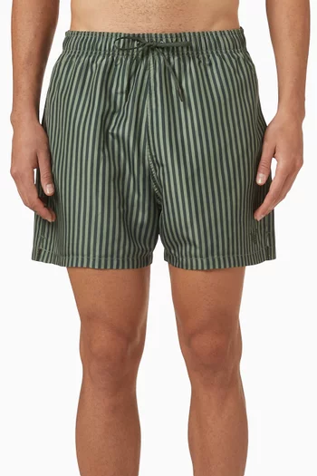 Micro Eagle Logo Striped Swim Shorts