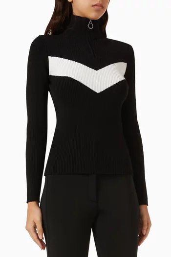 Andromede Sweater in Viscose-blend