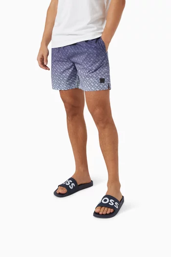 Aryeh Logo Slides in PVC