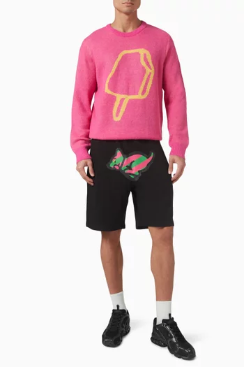 Popsicle Crewneck Sweater in Wool Blend