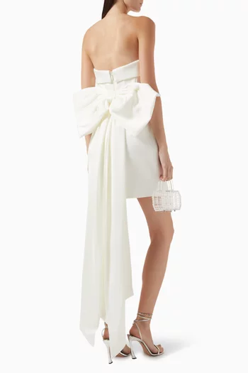 Lia Corset Mini Dress