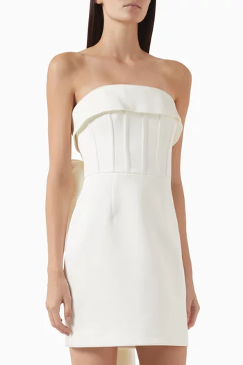 Lia Corset Mini Dress
