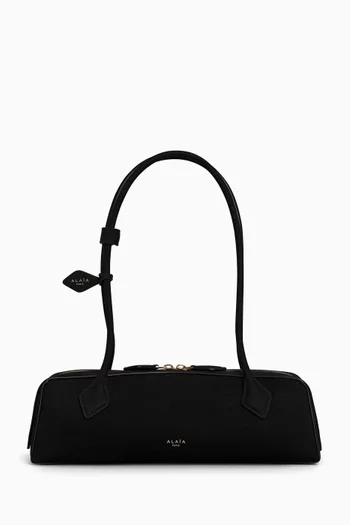 Medium Le Teckel Shoulder Bag in Suede