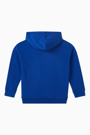 Flag Graphic Hoodie in Cotton