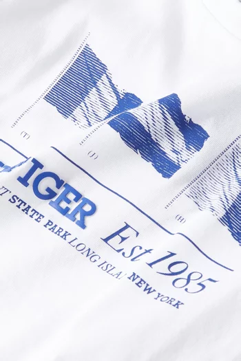 Flag Graphic Crewneck T-Shirt in Cotton