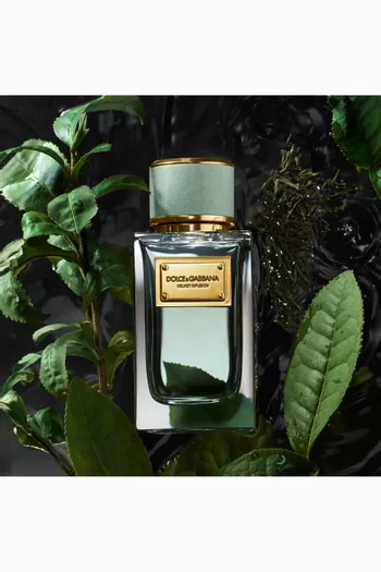 Velvet Infusion Eau de Parfum, 100ml