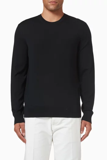 Crew neck Sweater in Wool