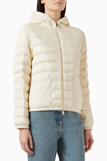 Hede Hooded Down Jacket in Nylon