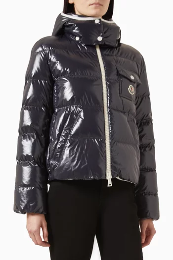 Andro Crop Down Jacket in Nylon