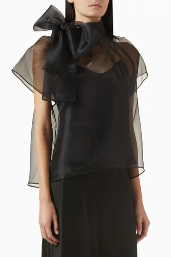 Feyre Sheer Bow Top