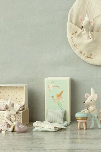 Tooth Fairy Mouse, Little Brother in Match Box