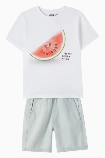 Rame Melon T-shirt in Organic Cotton