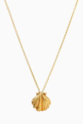 Shell Necklace in Metal