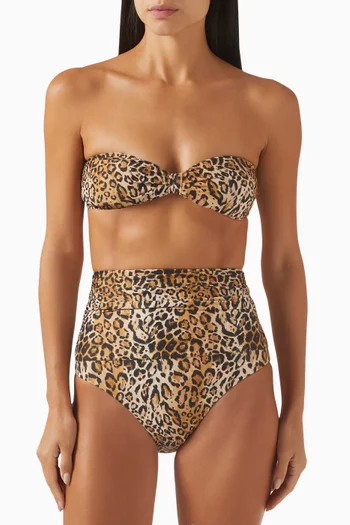 Catania Leopard-print Bikini Top in Stretch Nylon