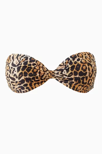 Catania Leopard-print Bikini Top in Stretch Nylon
